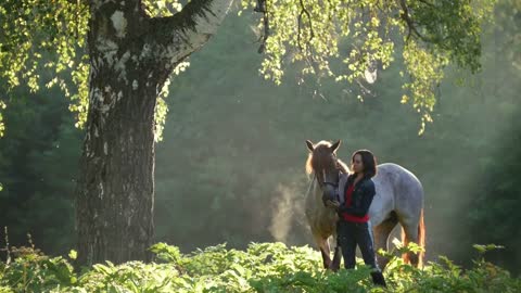 Girl with a horse on a walk in the woods early in the morning