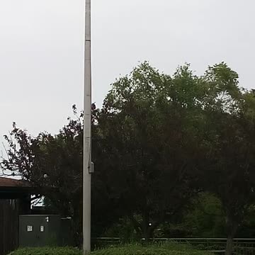 RACINE ZOO 6.8.24 VIDEO113