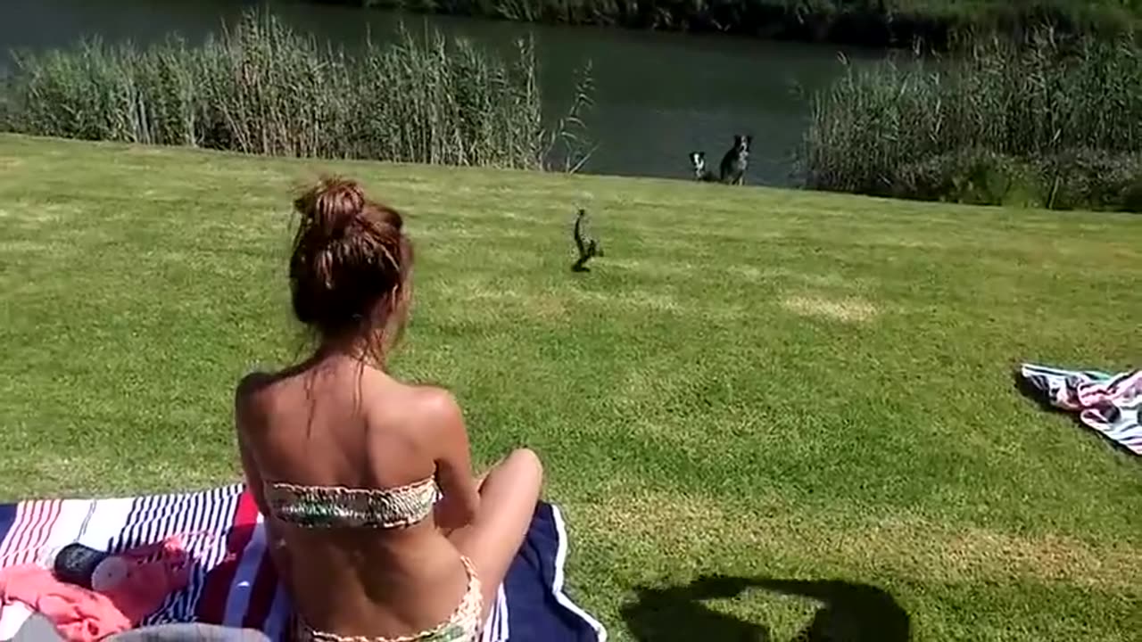 African Girl Catches A Speedy Cobra With Her Hands