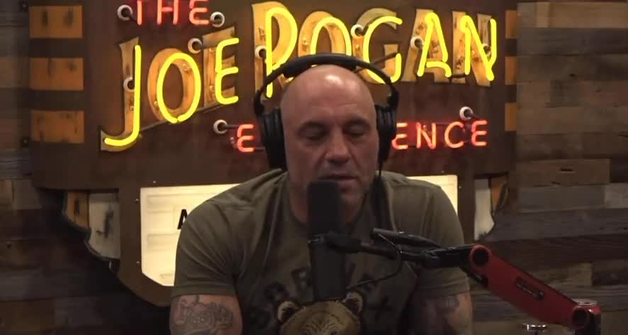 Joe Rogan Defends Gina Carano's War Against Cancel Culture