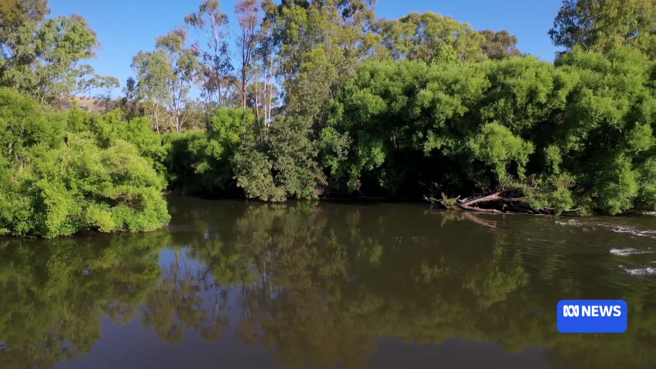 Sharing the precious water of Australia's longest river | ABC News