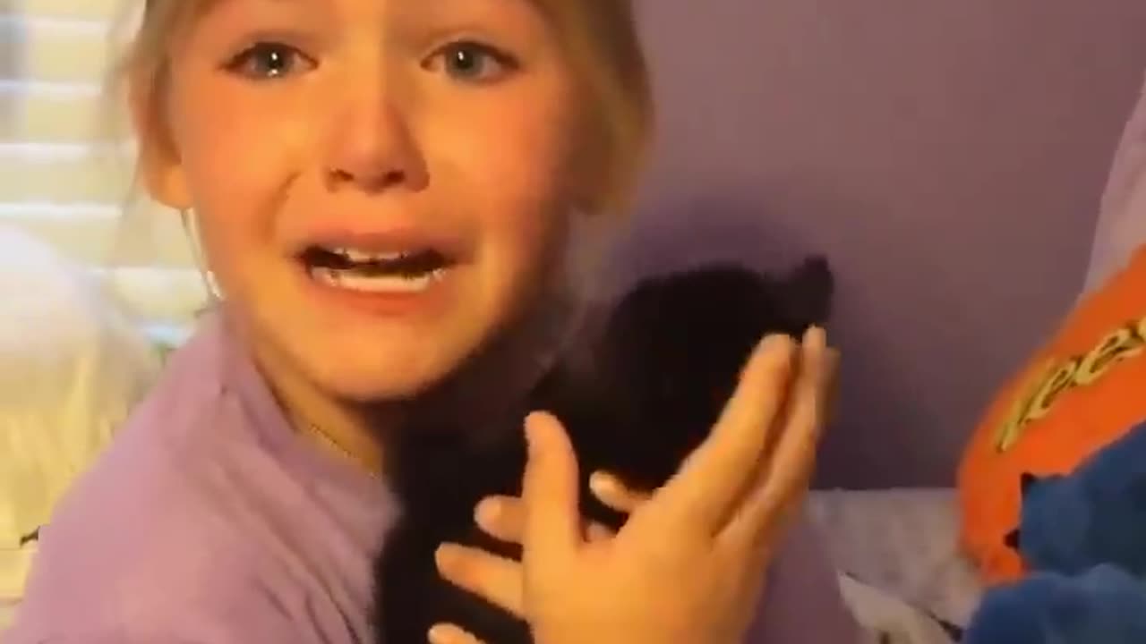 Heartwarming Video: Little Girl Cries Tears of Joy When She Gets Her Dream Cat!