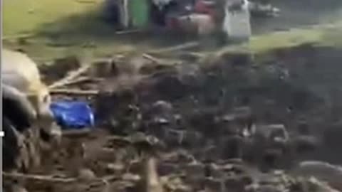 Obiden & Obamala's vision for America.