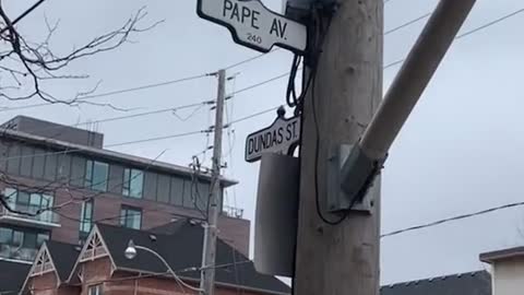 Toronto Man Hides Money Around The City