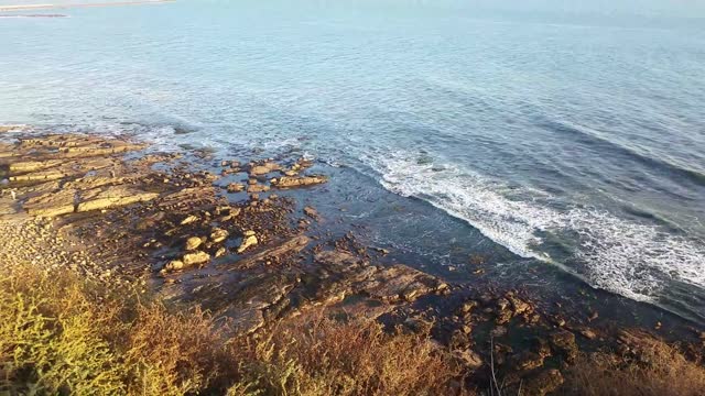 Una Vista del Puerto de San Pedro, CA