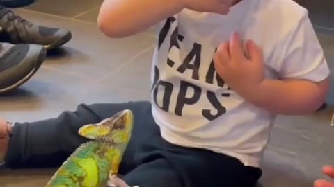 Funny boys# 2