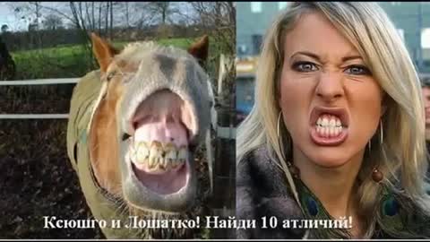 Высоцкий: "Ой Вань, гляди какие клоуны.."- 4 (Диалог у TV). (R).
