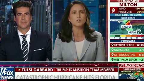 Tulsi Gabbard: When their leadership is questioned they quickly label it as “disinformation.”