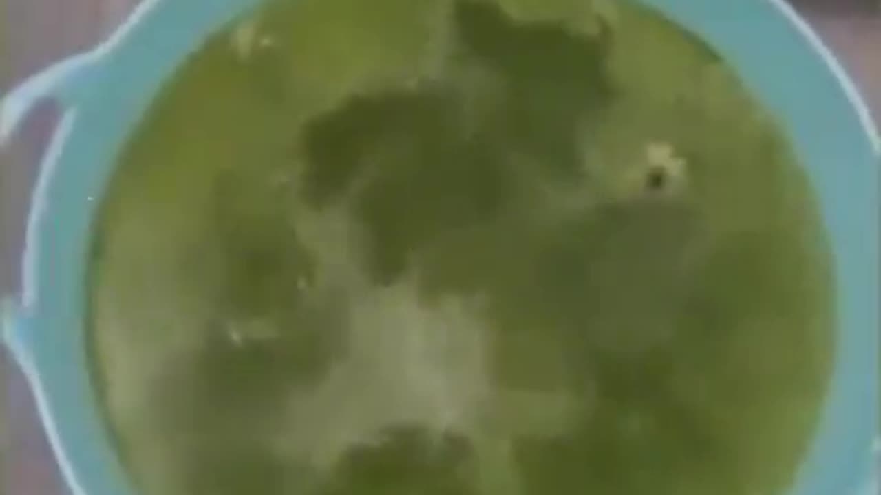 Dissolving Dog In Hydrochloric Acid