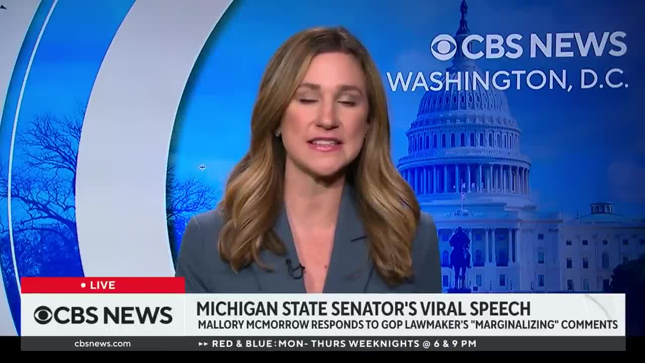 Michigan state senator responds after Republican colleague accuses her of groomi