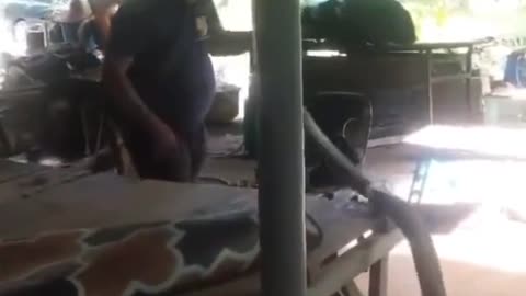 Huge snake
