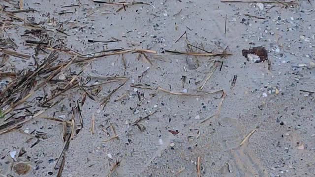 MY LITTLE VIDEO 20