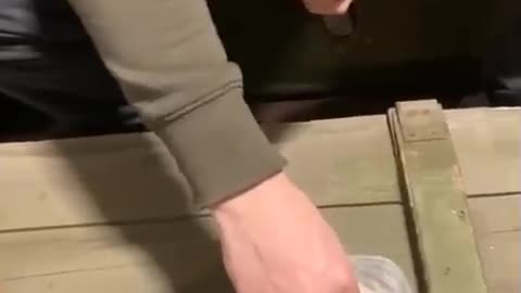 Ukrainian Soldiers on duty lubricate their ammo cartridges with pork lard