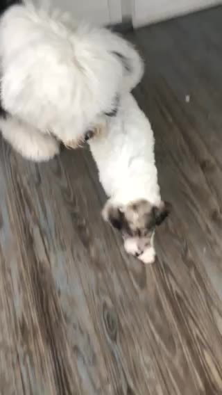 AND THEN THERE WERE 2!!!