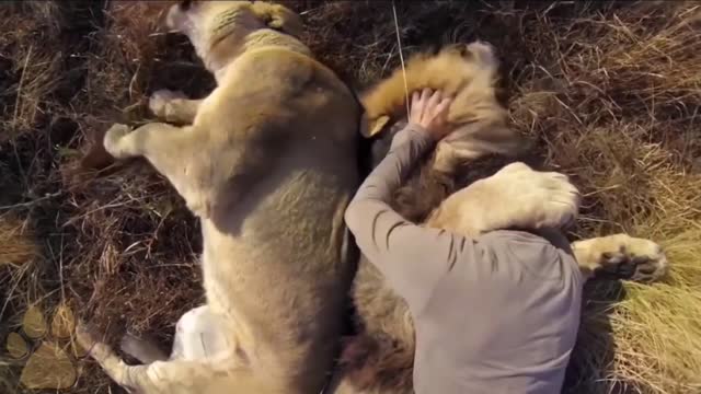 Animals That Do Not Forget Their Owner After Years <3