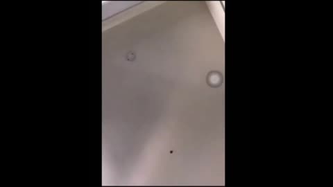 White Supremacy is the problem? Really?