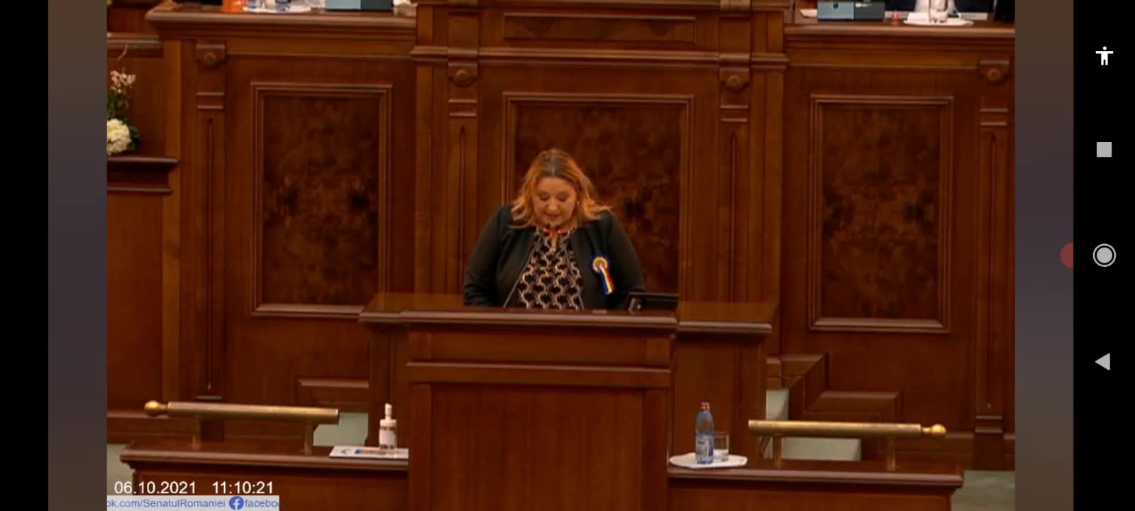 Diana Iovanovici-Șoșoacă, Edictul Poporului Român