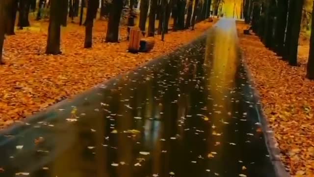 Beautiful Relaxing Piano Music #Piano music
