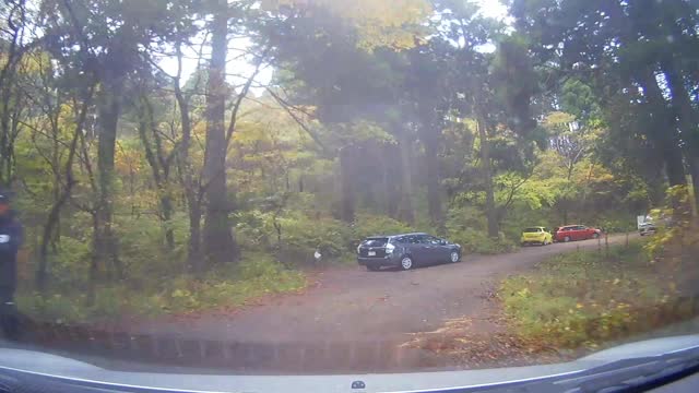 道 芦ノ湖 Carretera: hojas de otoño en coche hasta el lago Ashinoko