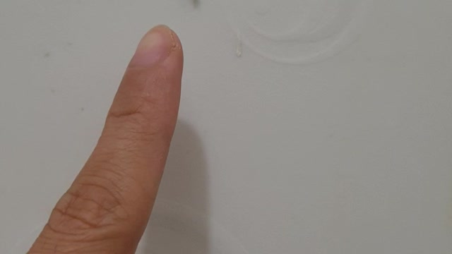 Unexpected visitor