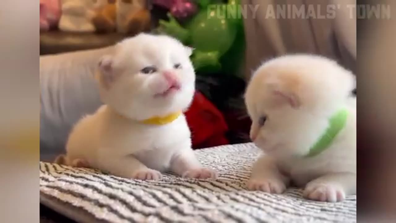 Funny moments