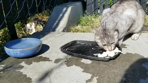 20230702 171942 BirthdayEating