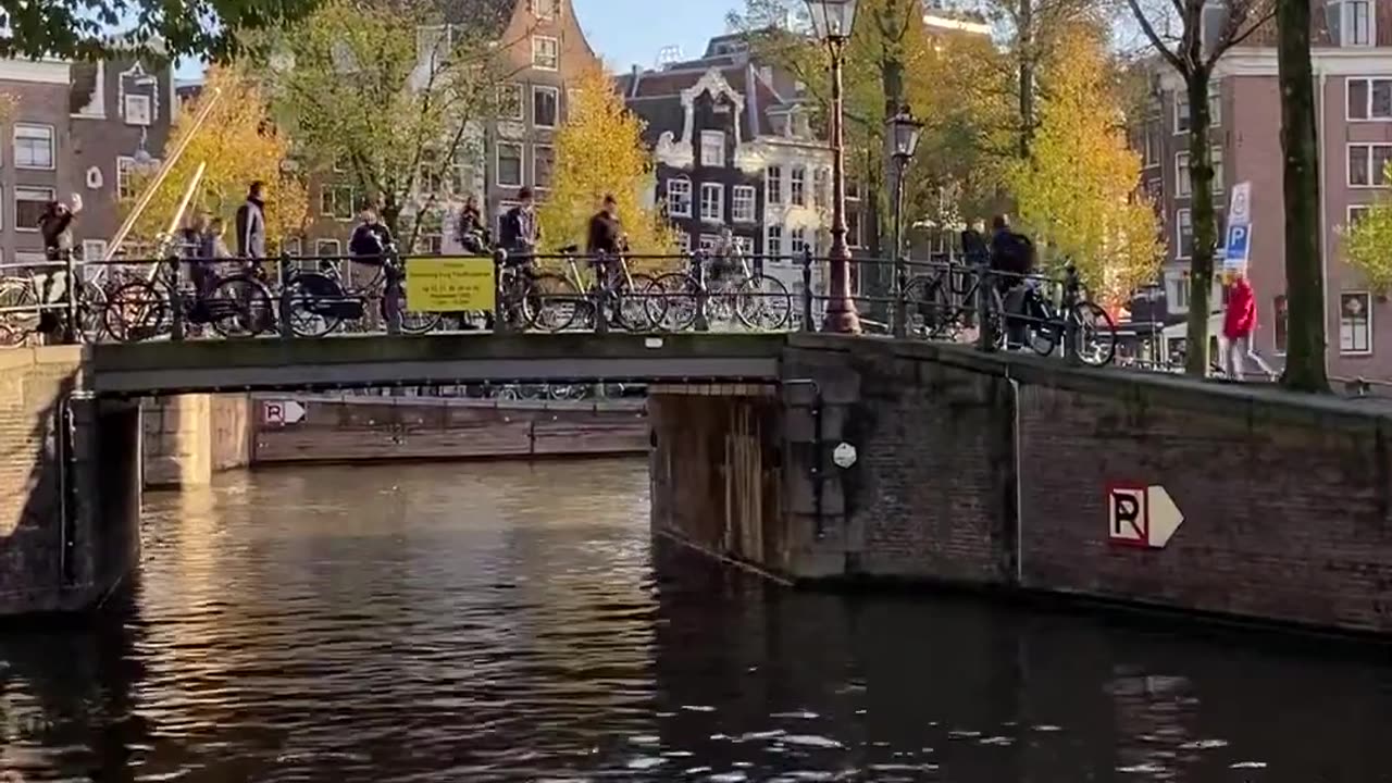 Discover Amsterdam's Charm