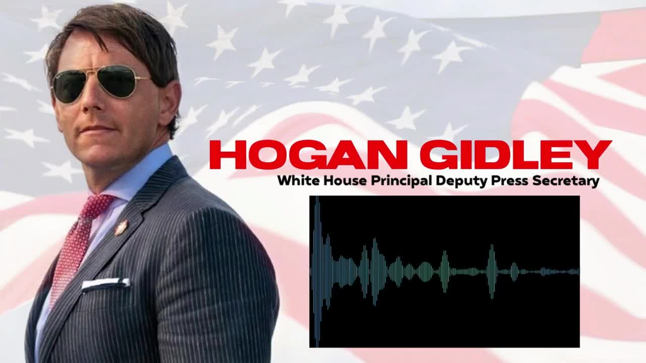 Donald Trumps Plans For The Democratic Party with Hogan Gidley