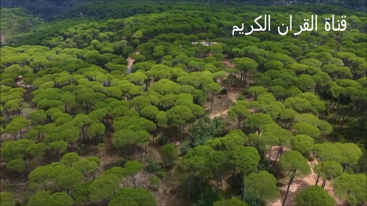 اجمل صوت قران حزين يبكي