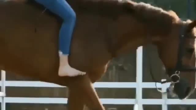 Love of horse