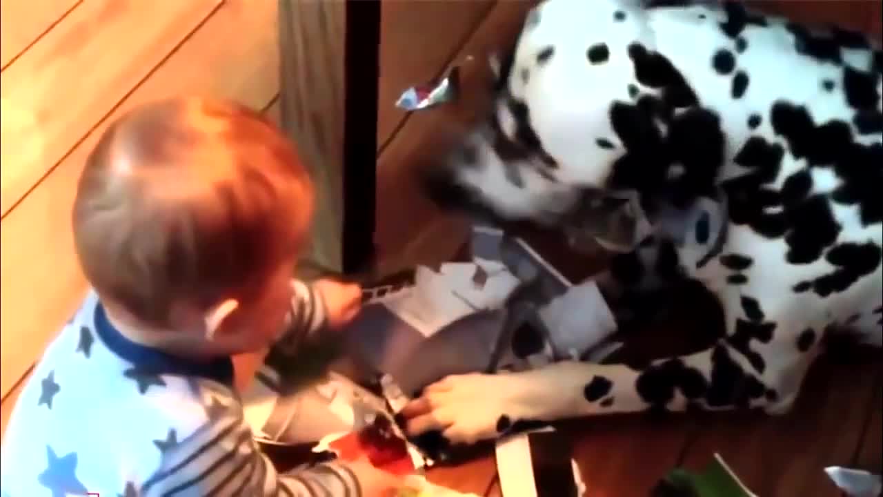 funny babies , trying not to laugh is impossible