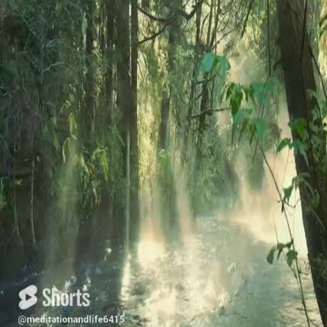 Morning Meditation Music #shorts #meditation #relaxing #nature