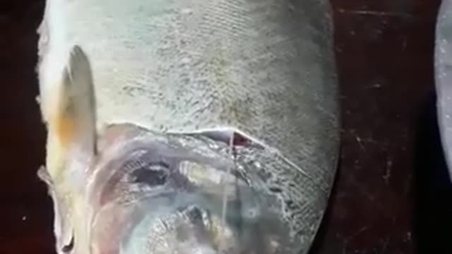 How to clean the fish to fry