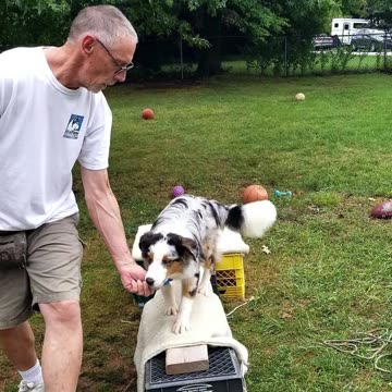 Ruff Cut PodCast: Raised Platform and Balance Beam part 1 ; 6