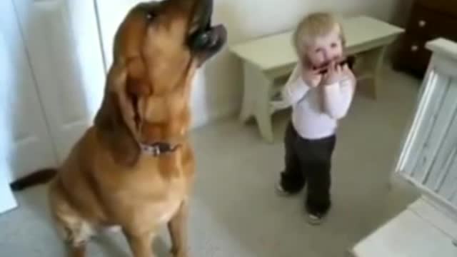 Cute baby and dog,super sound in her mouth each other so funny,