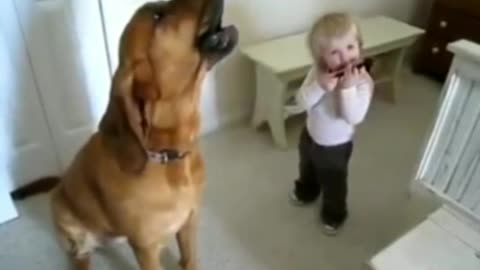 Cute baby and dog,super sound in her mouth each other so funny,