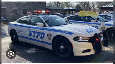 pictures of cool cop cars by Jack the Irish wolfhound