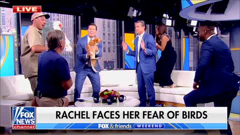 Fox & Friends...and Snakes & Birds! Pete & Rachel Face Their Fears!