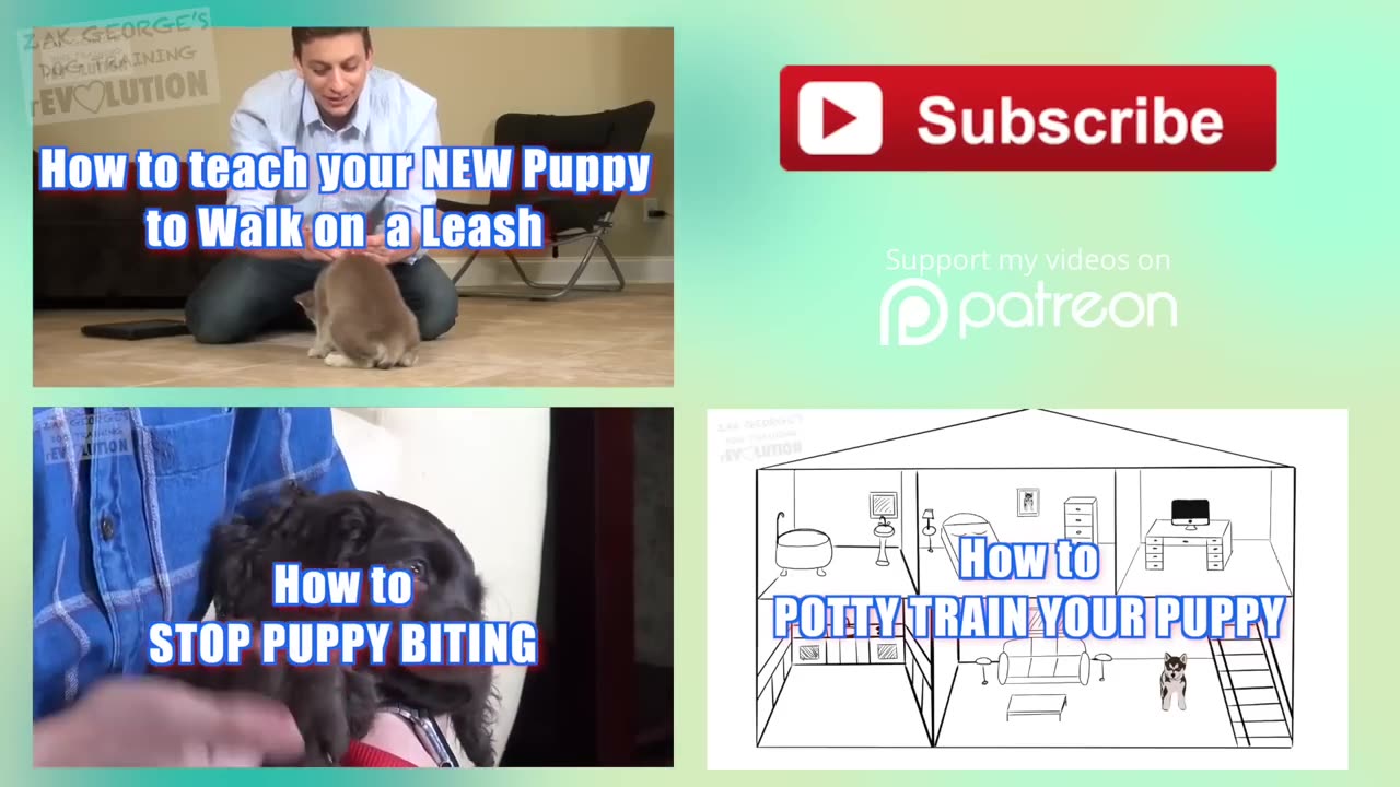 Everything you Need to be Prepared for your New Puppy!