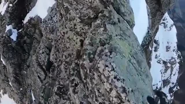 Extreme sports rock climbing