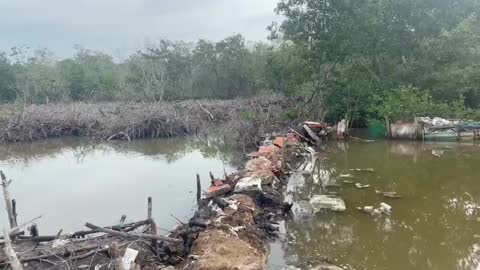 Ecobloque recupera zona de bajamar en La Boquilla