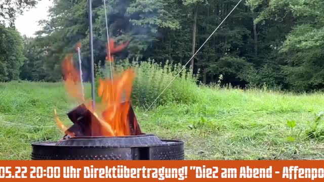 22.05.22 20:00 Uhr Direktübertragung! "Die2 am Abend - Affenpocken, Ukraine, Irrsinn"