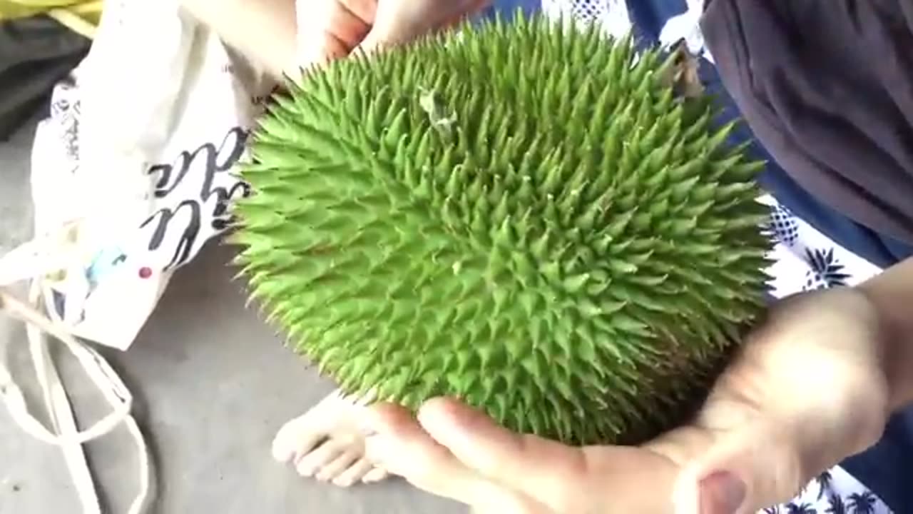 Eating Crazy JUNGLE FRUITS in Borneo!