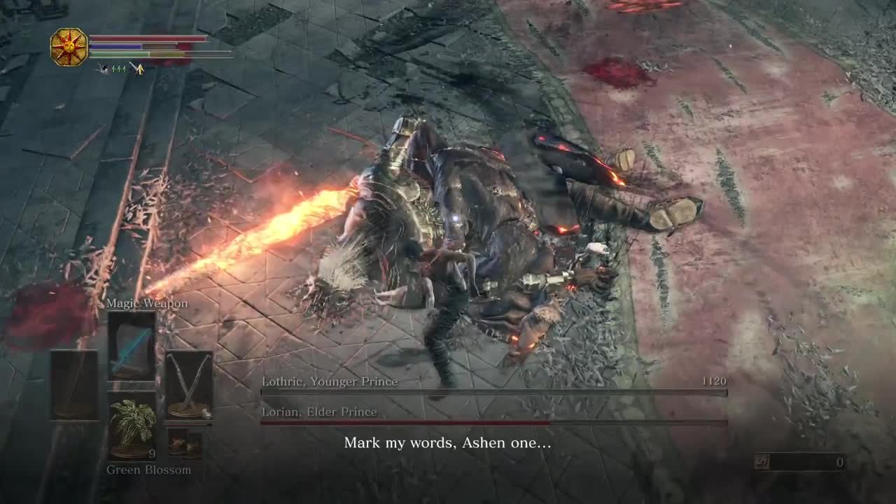 Twin Princes Twin Blades No Damage Taken, Dark Souls 3