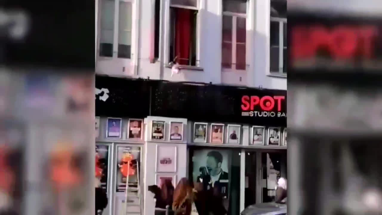Try Not To Laugh or Grin While Watching Funny Animals Compilation (18)
