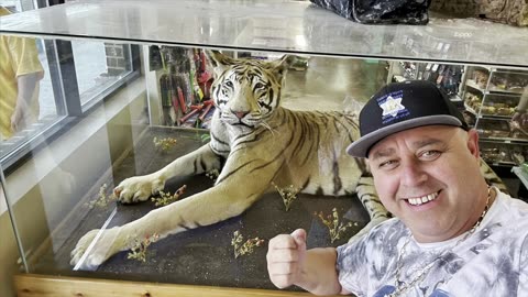 Чалга порти интернешънъл 2017-2023/Обзор на Американското ежедневие от 26/09/2023