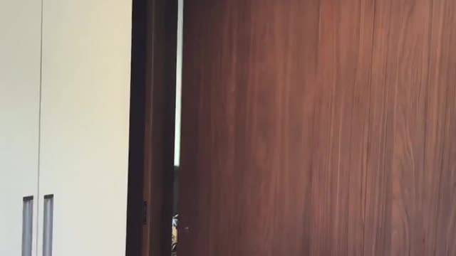 sliding door behind the tv panel