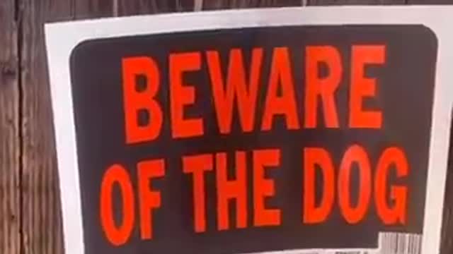 Beware of this dog