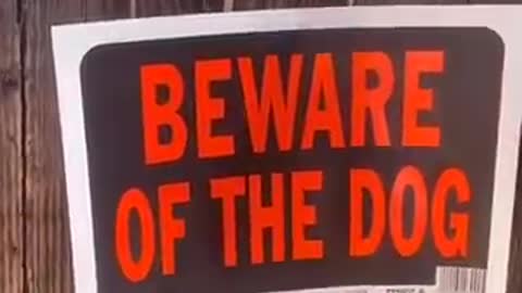 Beware of this dog