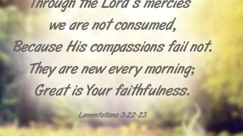 Morning Prayer of Mercies #youtubeshorts #grace #jesus #mercy #faith #fyp #bless #love #trust #joy